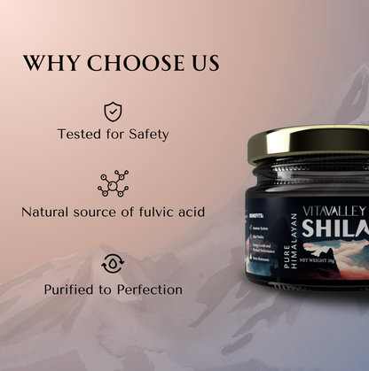 Shilajit Resin by Vita Valley